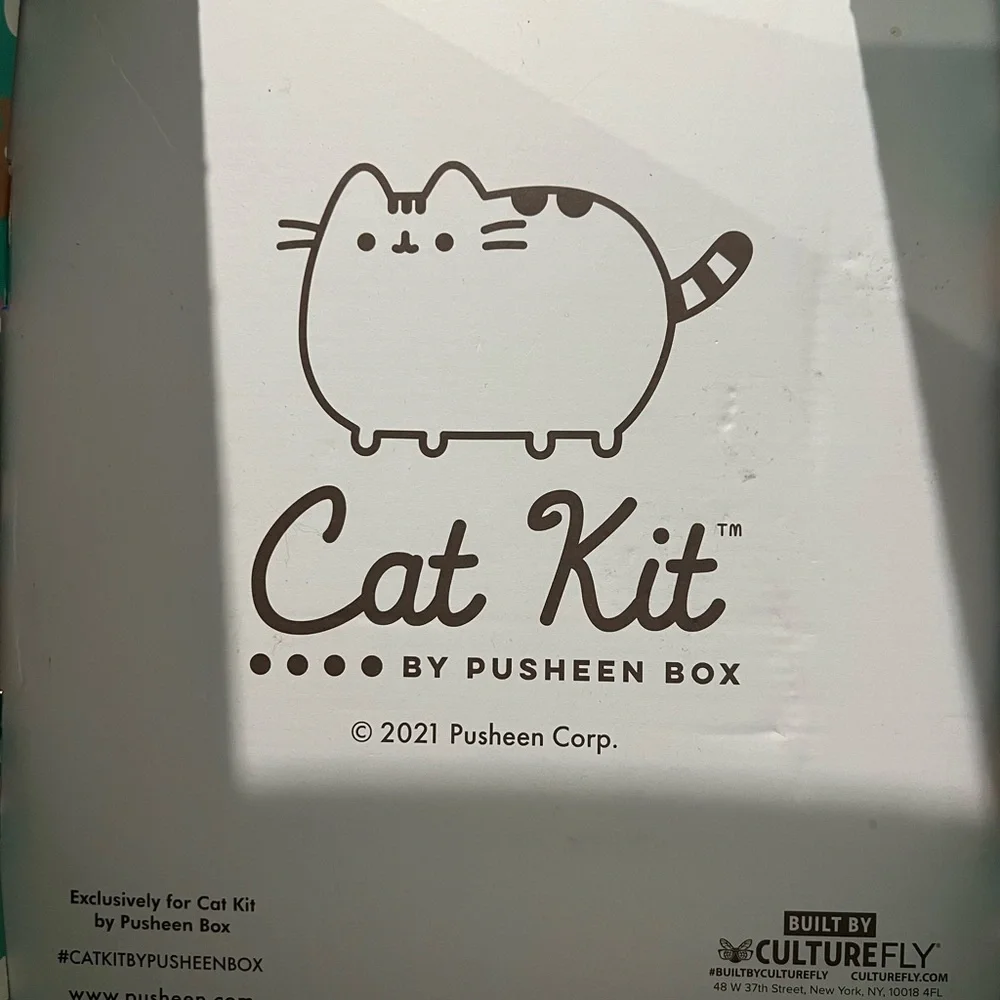 Pusheen cute christmas